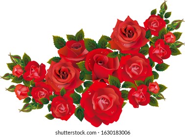 romantic red rose of passion