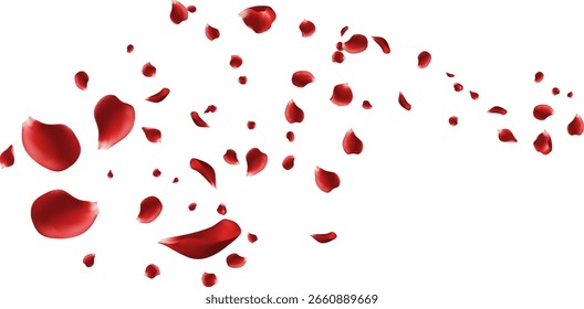 Romântico Red Rose Petals Falling Love Valentine Celebração do casamento Fundo Beleza elegante