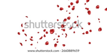 Romantic Red Rose Petals Falling Love Valentine Wedding Celebration Background Elegant Beauty
