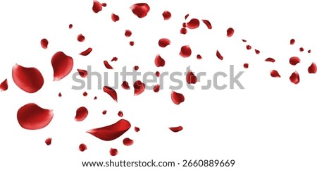 Romantic Red Rose Petals Falling Love Valentine Wedding Celebration Background Elegant Beauty