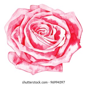 romantic, rose, r rose