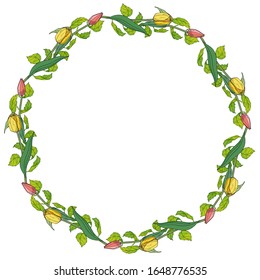 Marco redondo romántico de tulipanes rosados y amarillos y hojas verdes. Correa floral primaveral sobre fondo blanco para su diseño