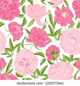 Romantic seamless pattern with gorgeous blooming peonies on white background. Natural backdrop with garden flowers. Botanical vector illustration in vintage style for textile print, wallpaper.