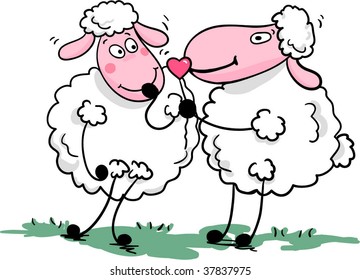 romantic sheep