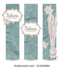 Romantic spring daffodils banner set or stylish bookmarks with space for title on light blue background vector illustration