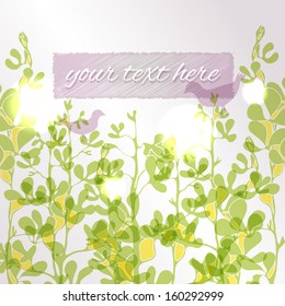 Romantic template for the text in the form of branches of plants, forward into the blue sky with the silhouettes of the birds in the sunshine. Used clipping mask.