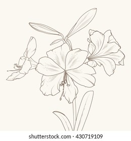 Romantic tender wedding lily flowers. Isolated floral design element. Brown on beige background.