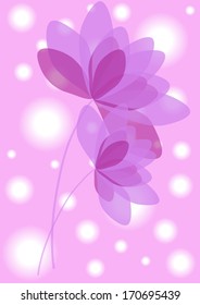 romantic transparent flowers background isolated on lighting background
