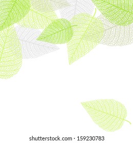  Romantic vector background with skeletons of leaves 