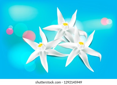 Romantic vector blurry bokeh background in blue sky pastel colors with light lense splashes and bouquet of white flower for greeting card design, poster or flyer valentines day