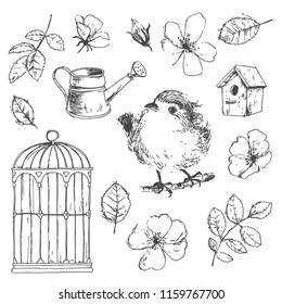Romantic vector hand drawn collection of birds, flowers, gardening symbols. Robin, watering can, birdhouse, wild roses