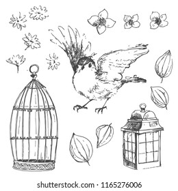 Romantic vector hand drawn collection of birds, flowers, gardening symbols. Robin, cage, lantern
