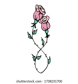 romantic vector hand-drawn cartoon two pink roses woven with each other. decorative doodle element isolated on white background