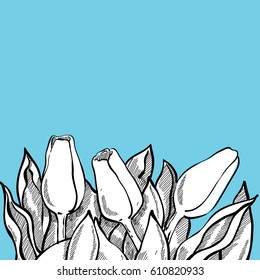 Romantic vector tulip composition, Sketch white flowers on bright blue background. Beautiful template for your design or advertise.