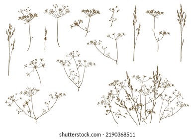 Romantic vegetative botanical silhouette monochrome grass leaves herbal vector illustration for invitation card textile packaging wedding design