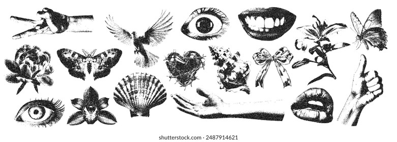 Romantic vintage elements with photocopy stipple effect. Vector illustration of hands, flowers, eyes, shells, in halftone design for banner or poster, grunge coquette y2k collage design