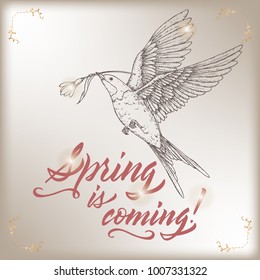 Romantic vintage greeting card template with Spring is Coming brush calligraphy and flying swallow sketch. Great for seasonal design.
