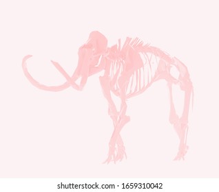 Romantic Woolly Mammoth Skeleton on Pink Background. Low Poly Valentines Vector 3D Rendering