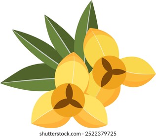 Romduol Camboja Flor Nacional com Folhas Ilustração Isolado no Fundo Branco