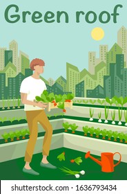 Rooftop urban farming, gardening or agriculture. A man planting radish, onions, greens  on the rooftop with a city tower buildings on the background