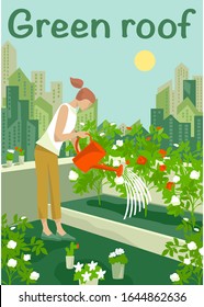 Rooftop urban farming, gardening or agriculture. A woman watering flowers with watering can on the rooftop with a city tower buildings on the background