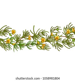 Rooibos Branch Vector Pattern