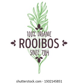 Rooibos, Herbal Tea Plant, Leaf On Branch, Organic Herb, Isolated Icon With Lettering Vector. African Plant, Hot Drink Ingredient, Flowers Or Blossom, Emblem Or Logo. Spice Or Farm Food Market Product