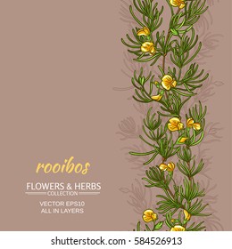 Rooibos Plant Vector Pattern On Color Background