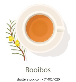Rooibos tea icon. Cartoon illustration of rooibos tea vector icon for web
