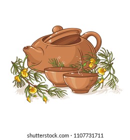 rooibos tea illustration