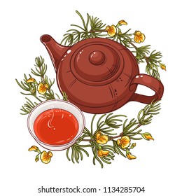 rooibos tea illustration