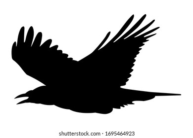 Rook Bird Flight Vector Isolated On Stock Vector (Royalty Free ...