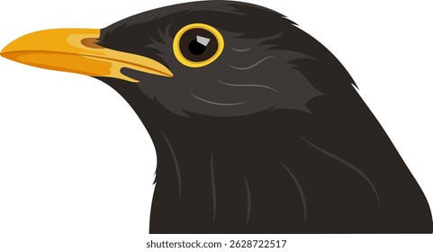 Rook Black Bird Animal Portrait Illustration Isolated on White Background