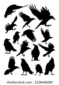 Rook, crow, raven bird silhouettes. Good use for any design you want.