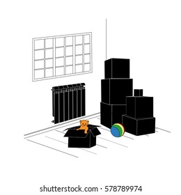 Room with boxes, cat and children's ball