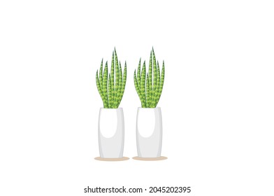 Room Decor plant Vector illustration isolated on white background