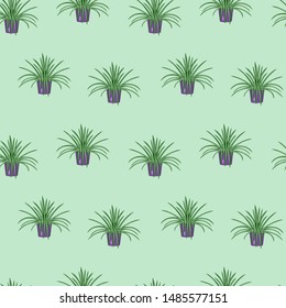 Room flower in a pot vector seamless pattern.