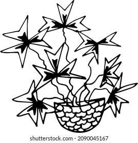 Room oxalis, Potted flower, House plant, hand-drawn, Hand-drawn doodles illustration,
Line art