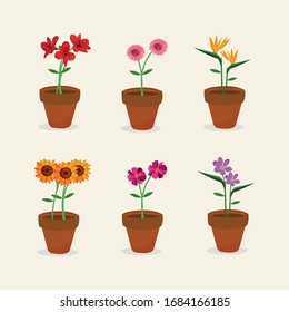 Room plants in clay pots vector illustrations set.