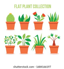 Room plants in clay pots vector illustrations set.