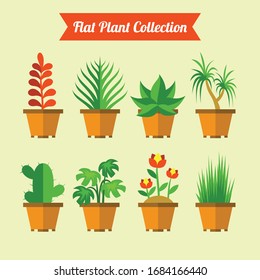 Room plants in clay pots vector illustrations set.