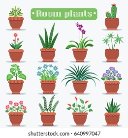 Room plants in clay pots vector illustrations set. Beautiful blooming flowers and ever green plants for home decoration big set.