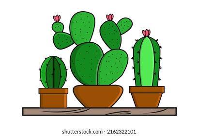 Room plants collection pots, set house flowers in blossom, vector Illustration isolated on white background