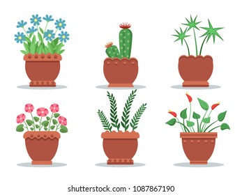 Room plants in pots collection with blossom and leaves, set of house herbs brown vases types vector illustration, isolated on white background