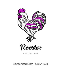 Rooster the 2016 New Year symbol, hand drawn, vector editable outline  isolated image, happy zodiac concept. Suitable for holiday concept textile print and packaging paper.