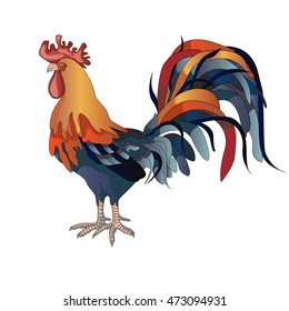rooster