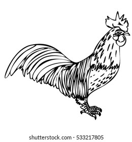 rooster