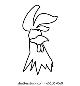 rooster bird 