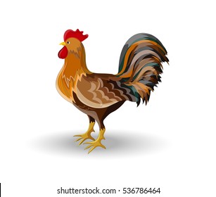 Rooster, Bird, Cockerel or Cock, Multicolor, Vector Illustration EPS 10