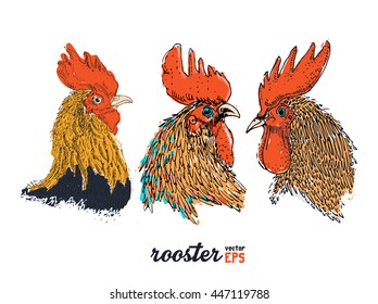 Rooster bird drawing illustration vector set